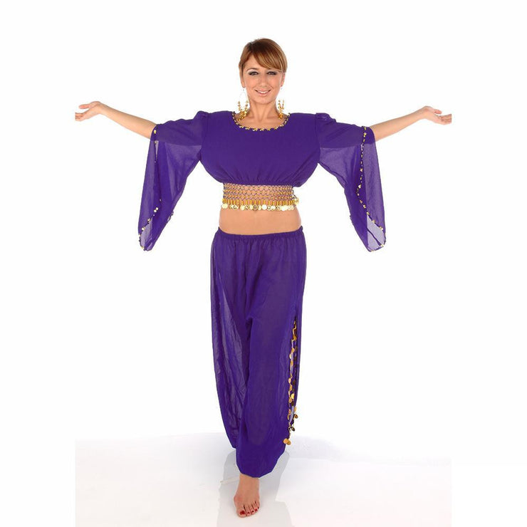 Belly Dance Harem Pant, Hip Scarf, & Bell Sleeve Top Costume Set | SURREAL
