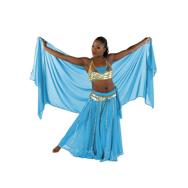 Belly Dance Skirt, Bra, Veil & Hip Scarf Costume Set | Stargazer, Turquoise / Gold