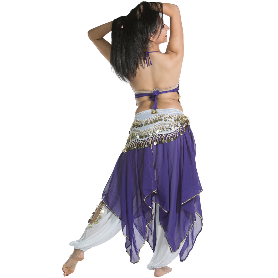 Belly Dance Top, Skirt, Pants, & Hip Scarf Costume Set | RAQS