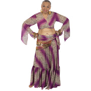 Belly Dance Chiffon Skirt, Top & Hip Scarf