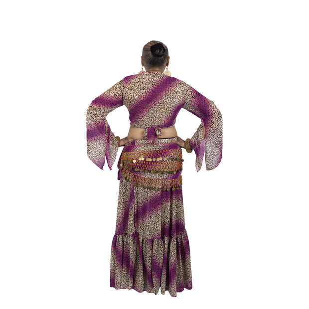 Belly Dance Chiffon Skirt, Top & Hip Scarf