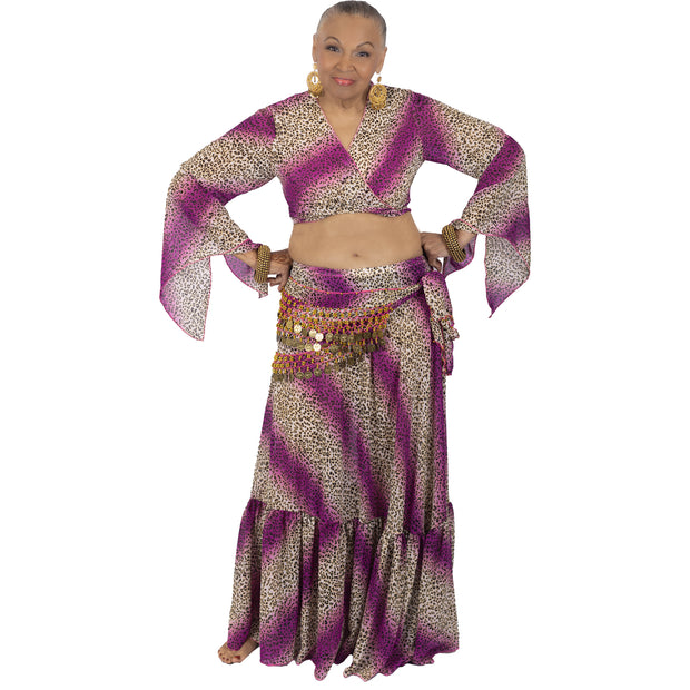 Belly Dance Chiffon Skirt, Top & Hip Scarf