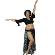 Belly Dance Top, Skirt & Hip Scarf Costume Set