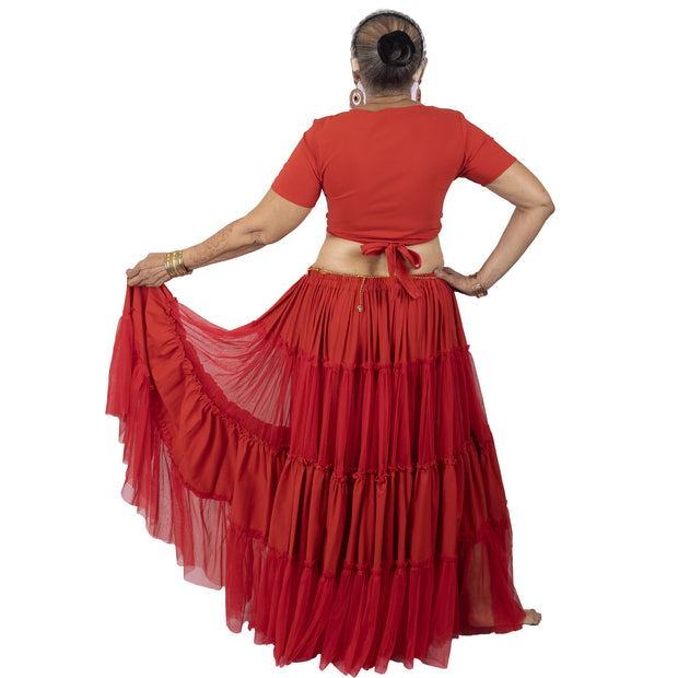 Belly Dance Short Sleeve Choli Tie Top, Sheer Ruffled Skirt & Coined Belt Costume Set