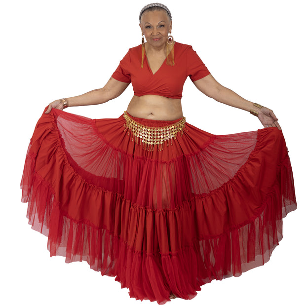 Belly Dance Short Sleeve Choli Tie Top, Sheer Ruffled Skirt & Coined Belt Costume Set