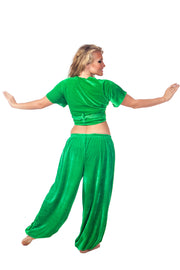Belly Dance Velvet Choli Top |  SERENE DREAM
