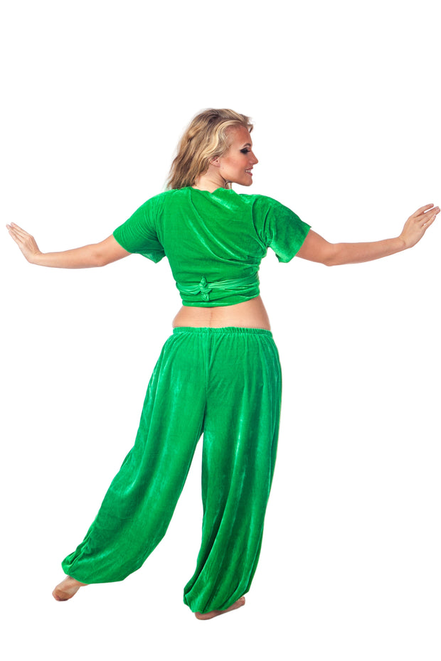 Belly Dance Velvet Choli Top |  SERENE DREAM