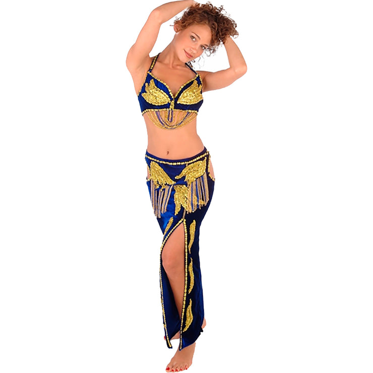 Belly Dance Professional Bra & Skirt Costume Set