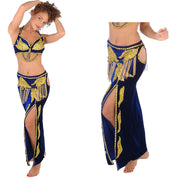 Belly Dance Professional Bra & Skirt Costume Set