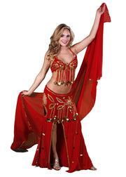 Belly Dance Professional Top, Skirt, Veil & Gloves Costume Set