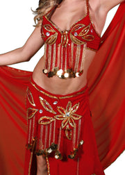 Belly Dance Professional Top, Skirt, Veil & Gloves Costume Set