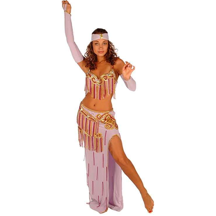 Belly Dance Professional Top, Skirt, Gloves & Headband Costume Set