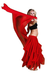 Belly Dance 13 Panel Skirt & Veil Costume Set | PETALS AND PANELS