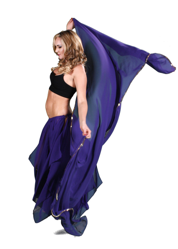 Belly Dance 13 Panel Skirt & Veil Costume Set | PETALS AND PANELS