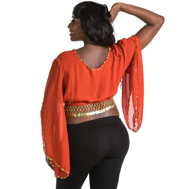 Belly Dance Chiffon Fluted Sleeve Top | ERASICA