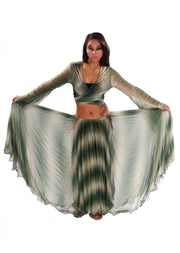 Belly Dance Sheer Tribal Skirt & Top Costume Set | SKYLIT NIGHT