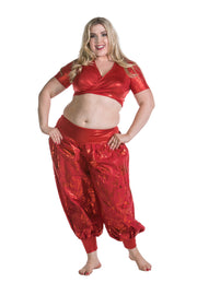 Belly Dance Top and Pants Set |