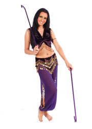 Belly Dance Top & Harem Pants Costume Set