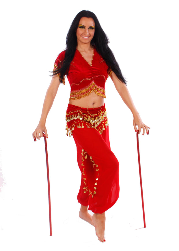 Belly Dance Top & Harem Pants Costume Set