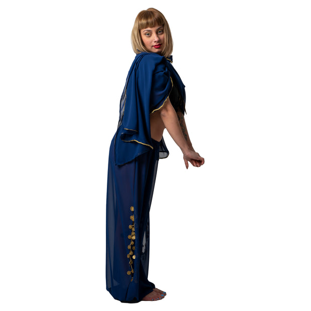 Belly Dance Chiffon Veil |