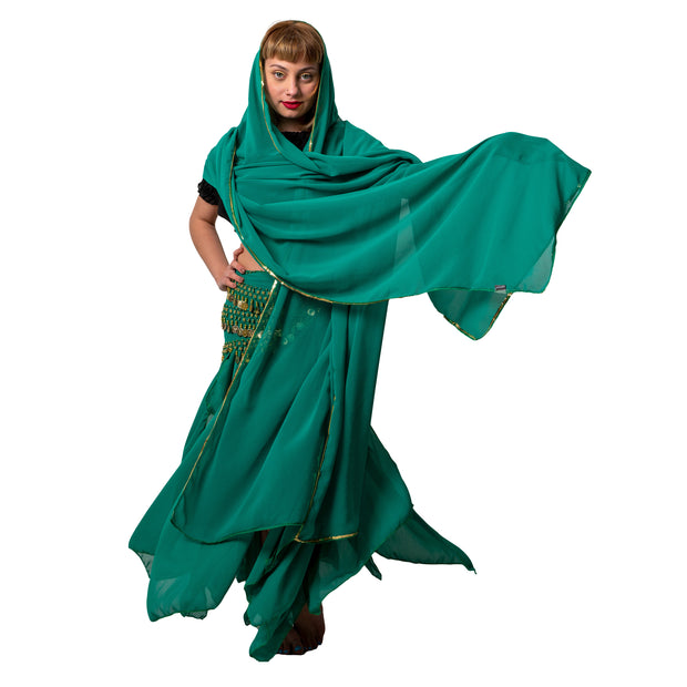 Belly Dance Chiffon Veil |