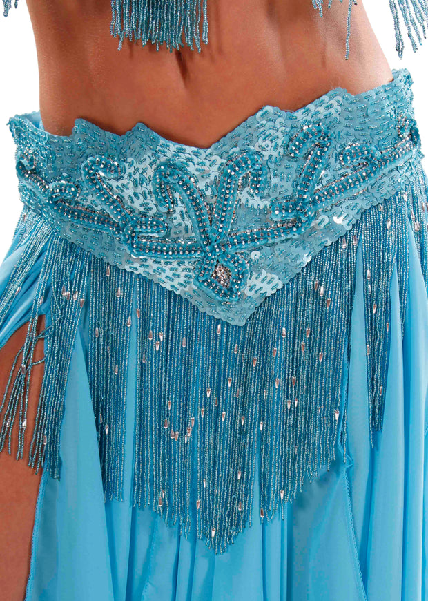 Belly Dance Professional Bra & Belt Costume Set
