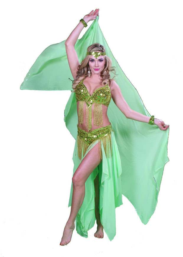 Belly Dance Professional Bra & Belt Costume Set