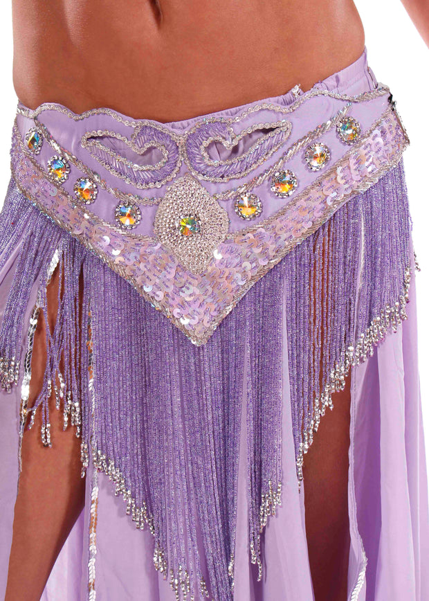Belly Dance Professional Bra & Belt Costume Set