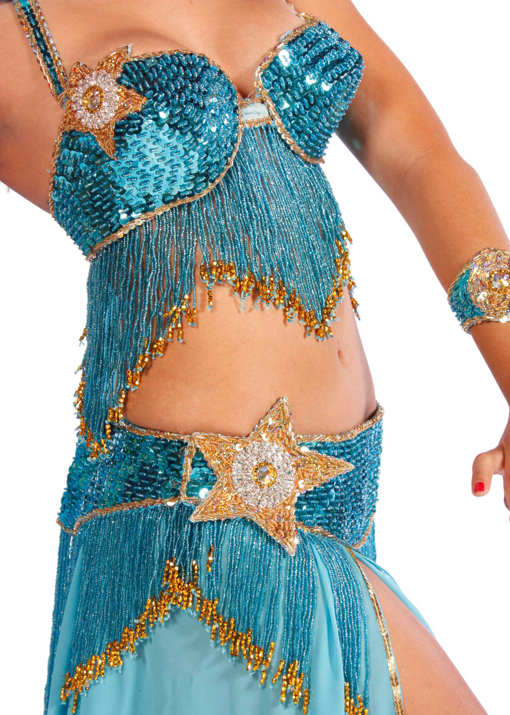 Professional Belly Dancer Costume
