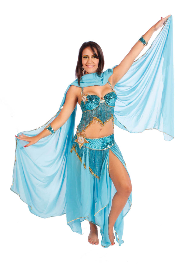 Belly Dance Professional Bra & Belt Costume Set