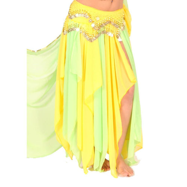 Belly Dance 13 Panel Chiffon Skirt