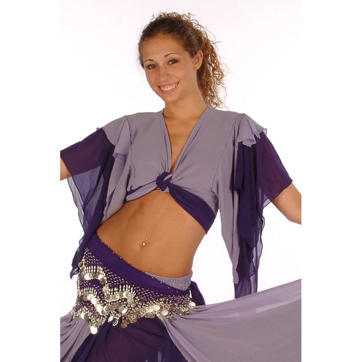 Belly Dance Chiffon 2-Color Choli Top | TOURNE AND SWIRL