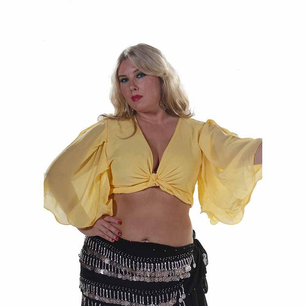 Belly Dance Chiffon Choli Top | PERA PASTEL
