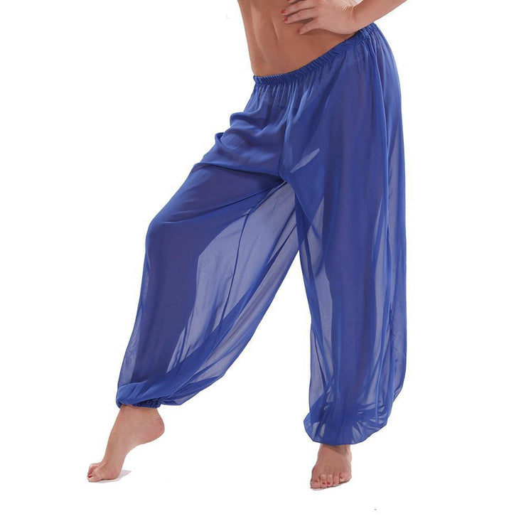 Belly Dancer Harem Pants Adult Costume (Blue) - PureCostumes.com