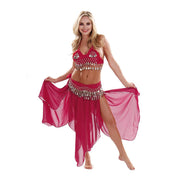 Belly Dance Chiffon Skirt, Top, & Hip Scarf Costume Set | PASSIONATE PERSUASION