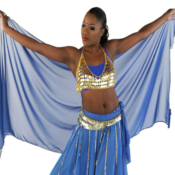 Silver Coin Bra Cover for Belly Dance Costuming