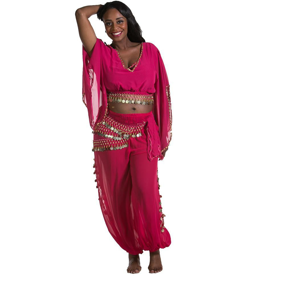 Belly Dance Harem Pant, Hip Scarf, & Bell Sleeve Top Costume Set