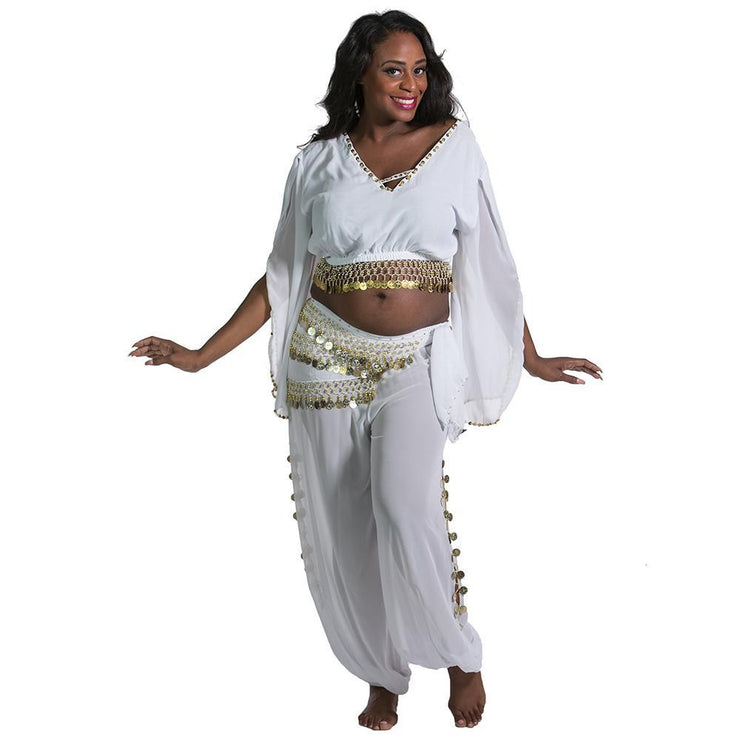 Belly Dance Harem Pant, Hip Scarf, & Bell Sleeve Top Costume Set | SURREAL