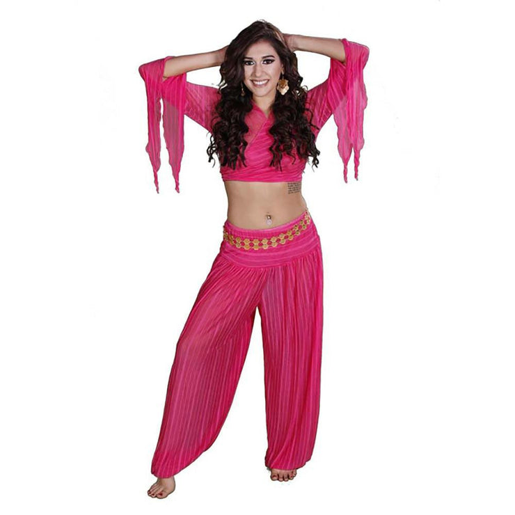 Belly Dance Harem Pants & Choli Top Costume Set | SHEER HAREM