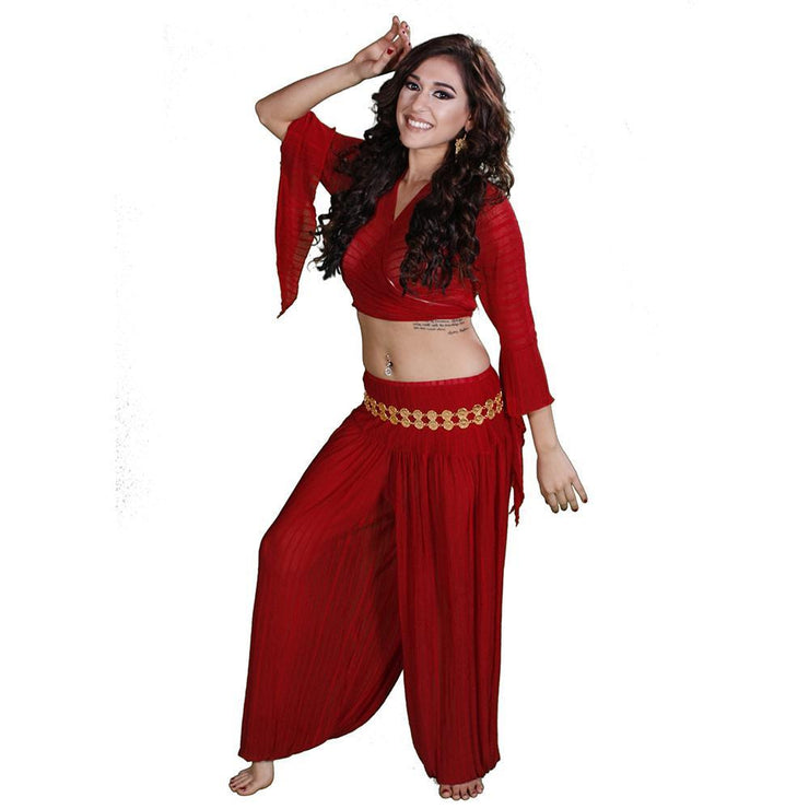 Belly Dance Harem Pants & Choli Top Costume Set | SHEER HAREM
