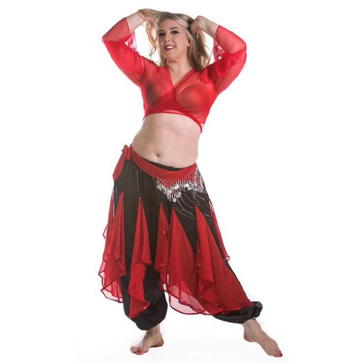 Belly Dance Harem Pants W/ Chiffon Flakes, Choli Top, & Hip Scarf | LAYLAT JAMILA