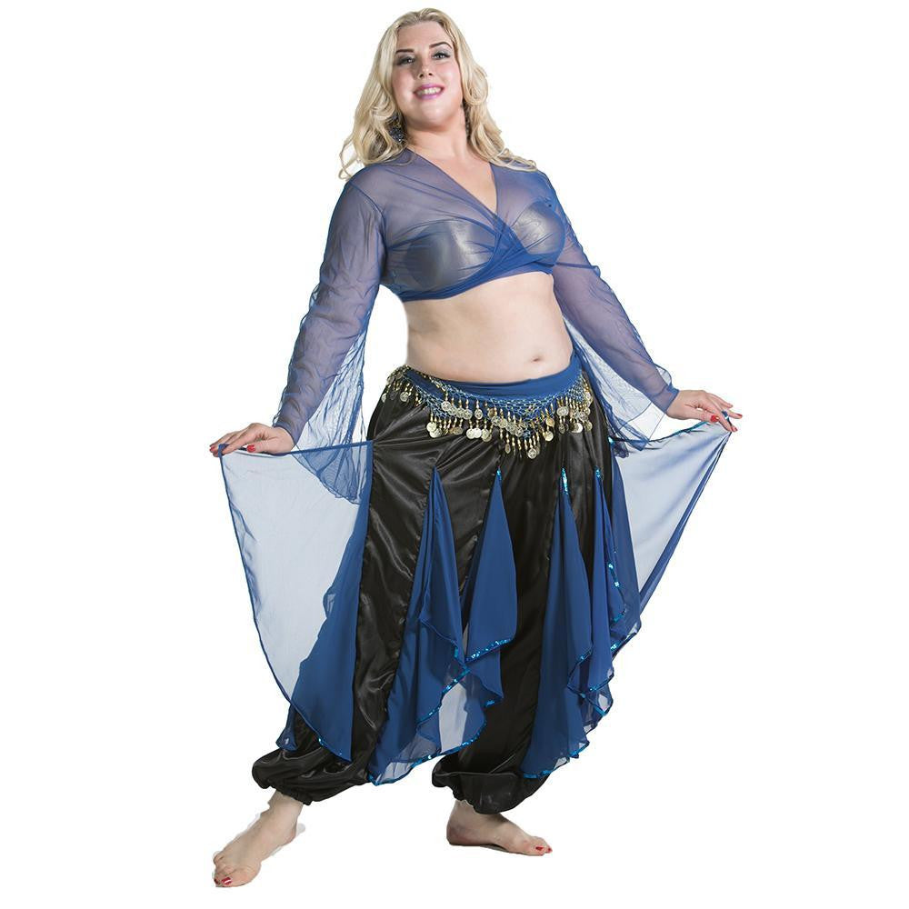 Belly Dance Harem Pants W/ Chiffon Flakes, Choli Top, & Hip Scarf