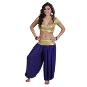 Belly Dance Lycra Choli Top With Chiffon Harem Pants Costume Set |