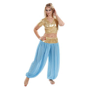 Belly Dance Lycra Choli Top With Chiffon Harem Pants Costume Set |