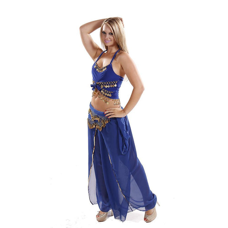 Belly Dance Lycra Top, Chiffon Harem Pants, & Hip Scarf Costume Set | ADAASANIA