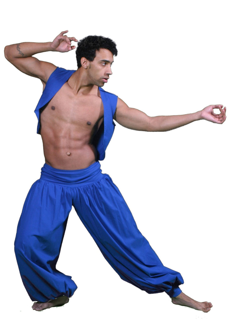 Belly Dance Mens Harem Pants & Vest Costume Set  RAQS IS THE NIGHT - 39.99  USD – MissBellyDance