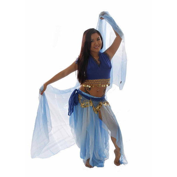 Belly Dance Organza Veil | OLA ORGANZA