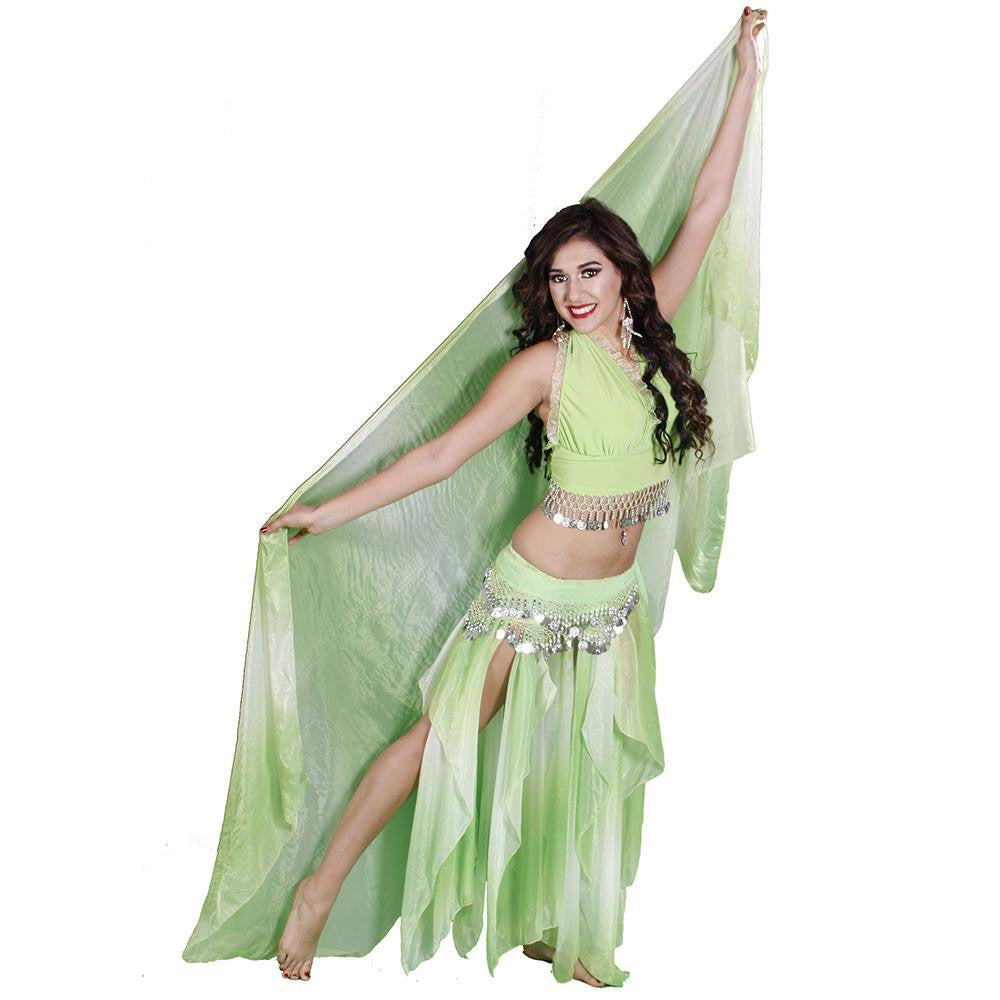Belly Dance Organza Veil