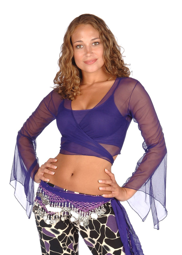 Belly Dance Sheer Chiffon Choli Top