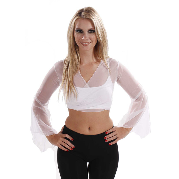 Belly Dance Sheer Chiffon Choli Top